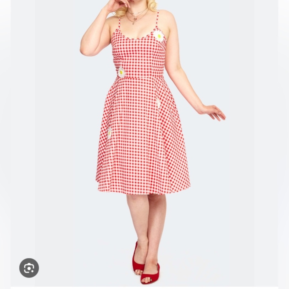 Voodoo Vixen Red Gingham A-Line Dress